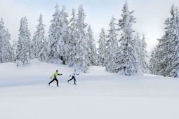 langlaufen-biathlon-pillerseetal-tirol-alpen